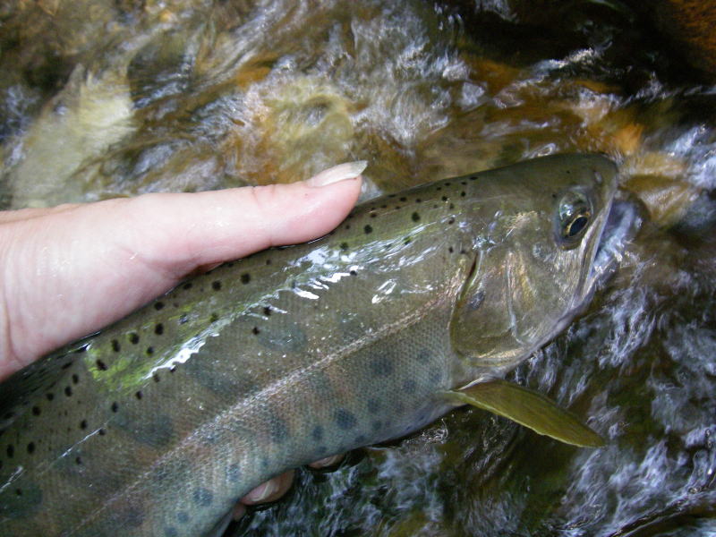 ちょっと手に力が・・・(汗)しかもネイルのお手入れが・・・・